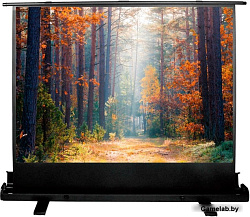 Экран Cactus 135x180см FloorExpert CS-PSFLE-180X135 4:3 напольный рулонный