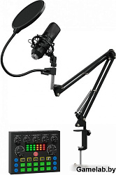 Микрофон проводной Оклик SM-600G 2.5м черный