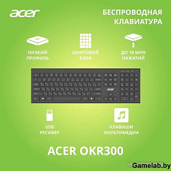 Клавиатура Acer OKR300 черный USB беспроводная (ZL.KBDEE.014)