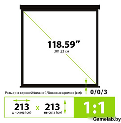 Экран Cactus 213x213см Wallscreen CS-PSW-213X213-BK 1:1 настенно-потолочный рулонный черный