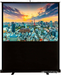 Экран Cactus 150x200см FloorCompactExpert CS-PSFLCE-200X150 4:3 напольный рулонный