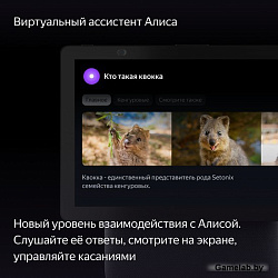 Яндекс Станция Дуо Макс YNDX-00055 с Алисой, с Zigbee black (YNDX-00055BLK)