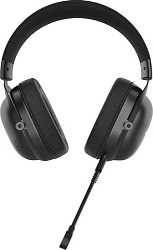 Наушники с микрофоном Acer AHW122 черный 2.1м мониторные USB оголовье (ZL.HDSCC.01U)