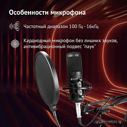 Микрофон проводной Оклик SM-600G 2.5м черный