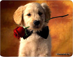 Коврик для мыши Buro BU-M40089 рисунок/щенок