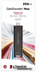 Флеш Диск Kingston 256Gb DataTraveler Type-C Max DTMAX/256GB USB3.2 черный