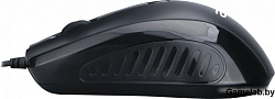 Мышь Acer OMW136 черный оптическая (1000dpi) USB (2but)