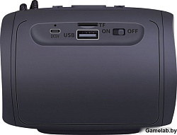 Акустическая система ENJOY S200 LIGHT/BT/FM USB/TF/1200 MAH 65200 DEFENDER